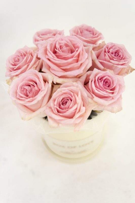 SPLETNACVETLICARNA.si