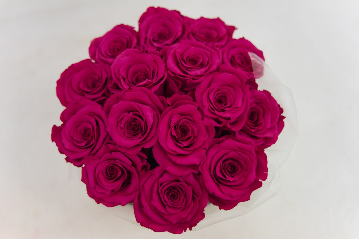 spletnacvetlicarna.si