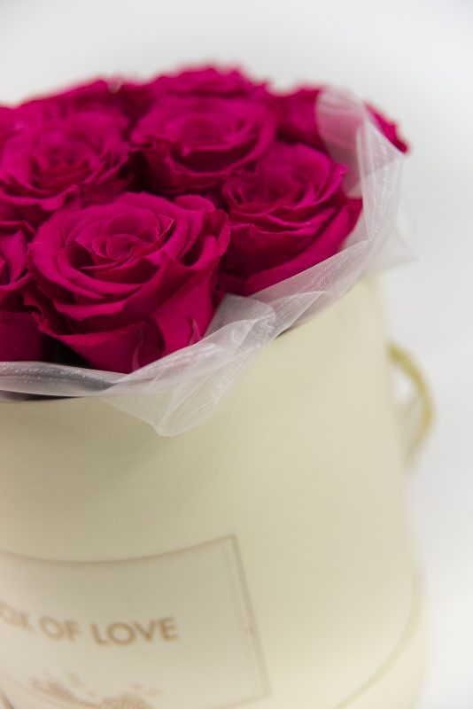 spletnacvetlicarna.si