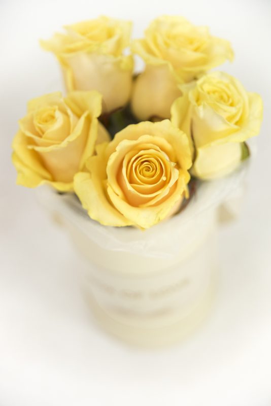 spletnacvetlicarna.si