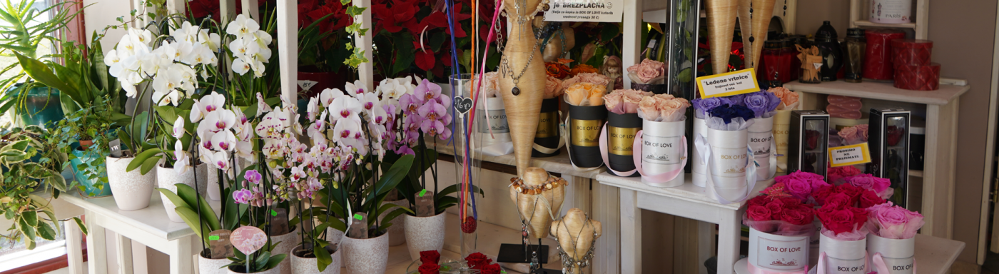 spletnacvetlicarna.si