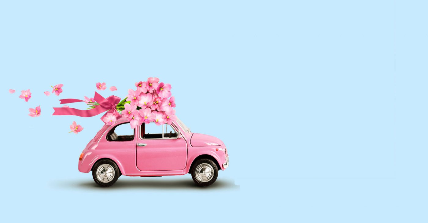 spletnacvetlicarna.si