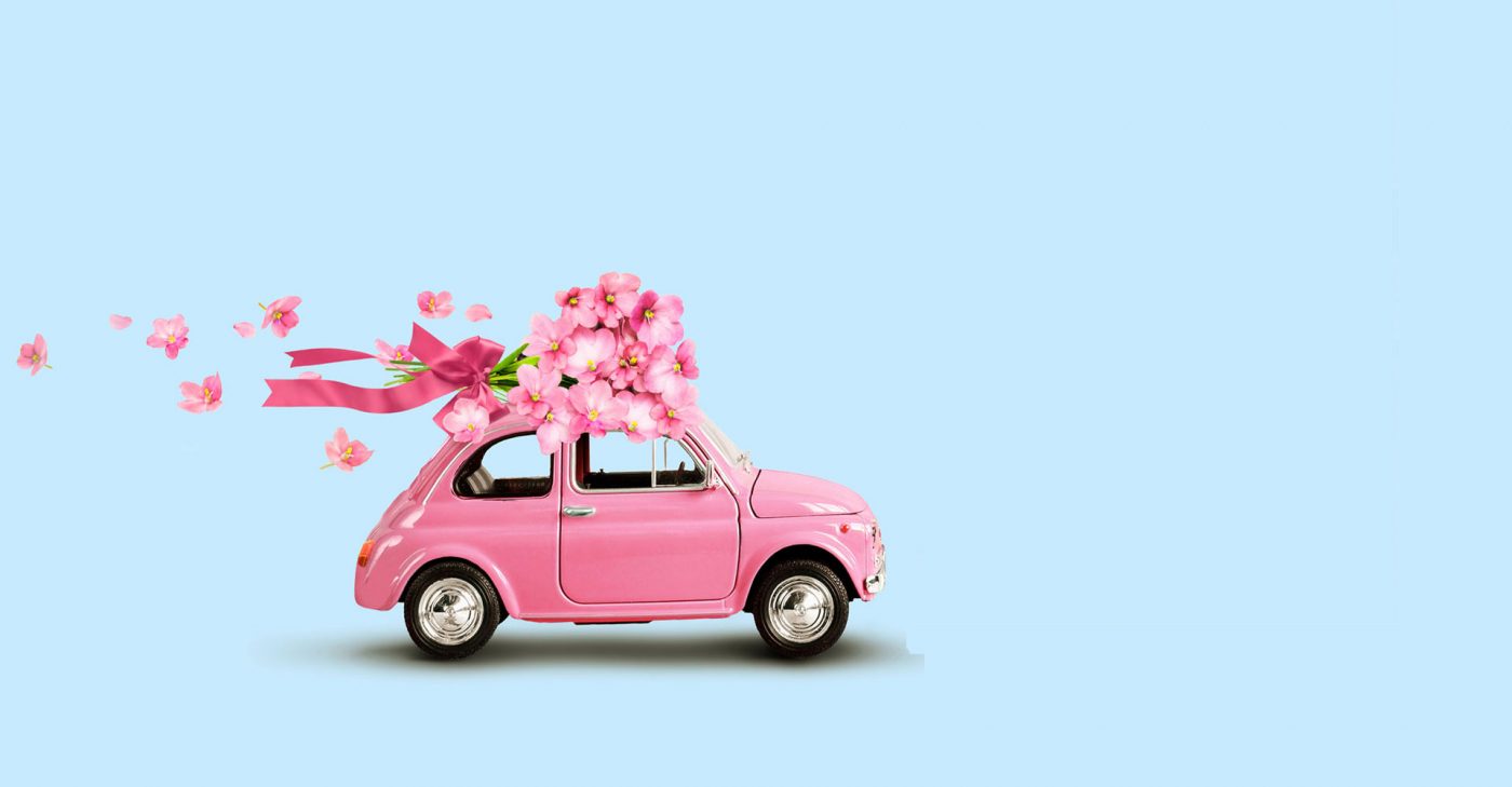 spletnacvetlicarna.si